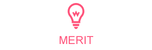 MERIT